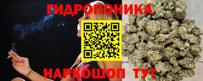 спиды Ливны