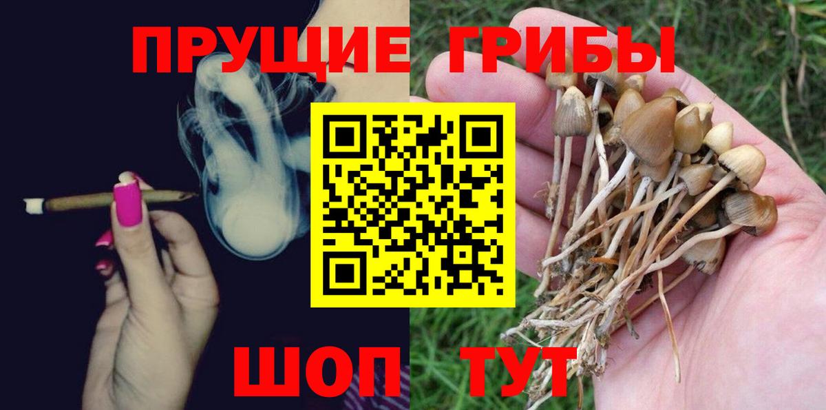 Самара  Псилоцибиновые грибы GOLDEN TEACHER  Вход с VPN 