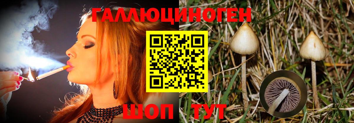 Галлюциногенные грибы Psilocybine cubensis Самара